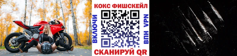 COCAIN 99% Шенкурск