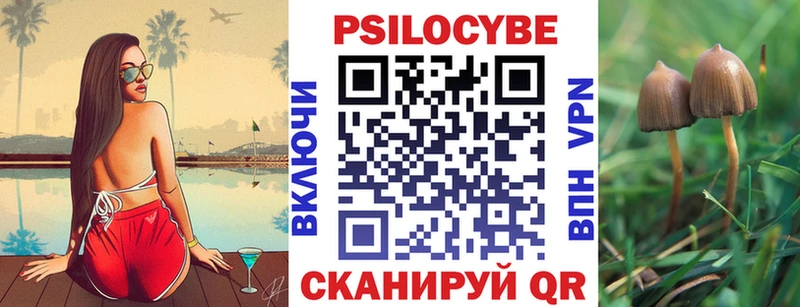 дарнет шоп  Шенкурск  Галлюциногенные грибы Psilocybe 